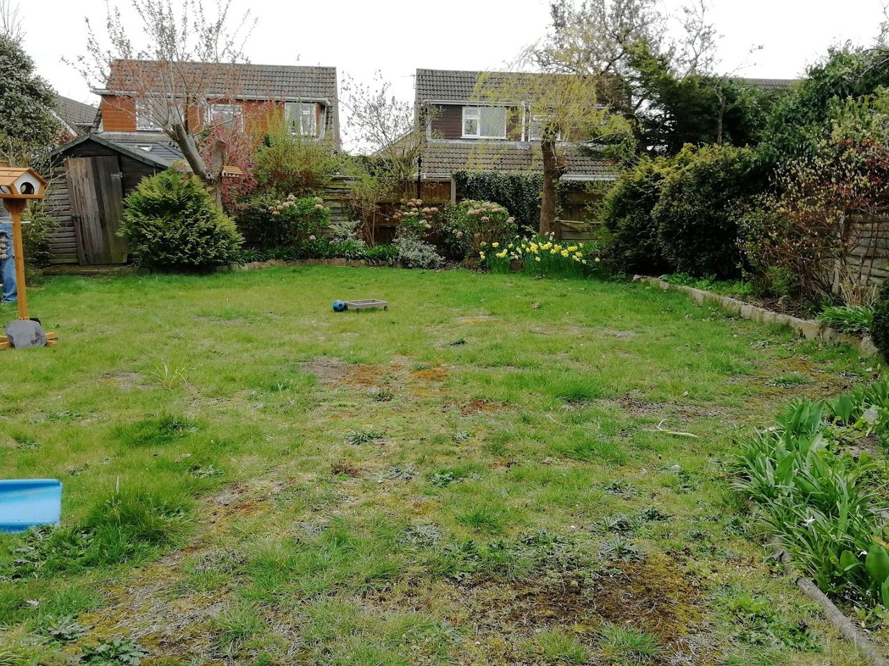 How the garden looked when we moved in