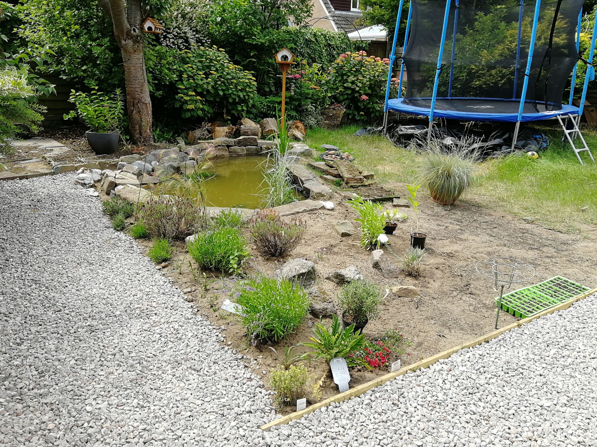 Soft gravel edge by the pond, and some initial planting