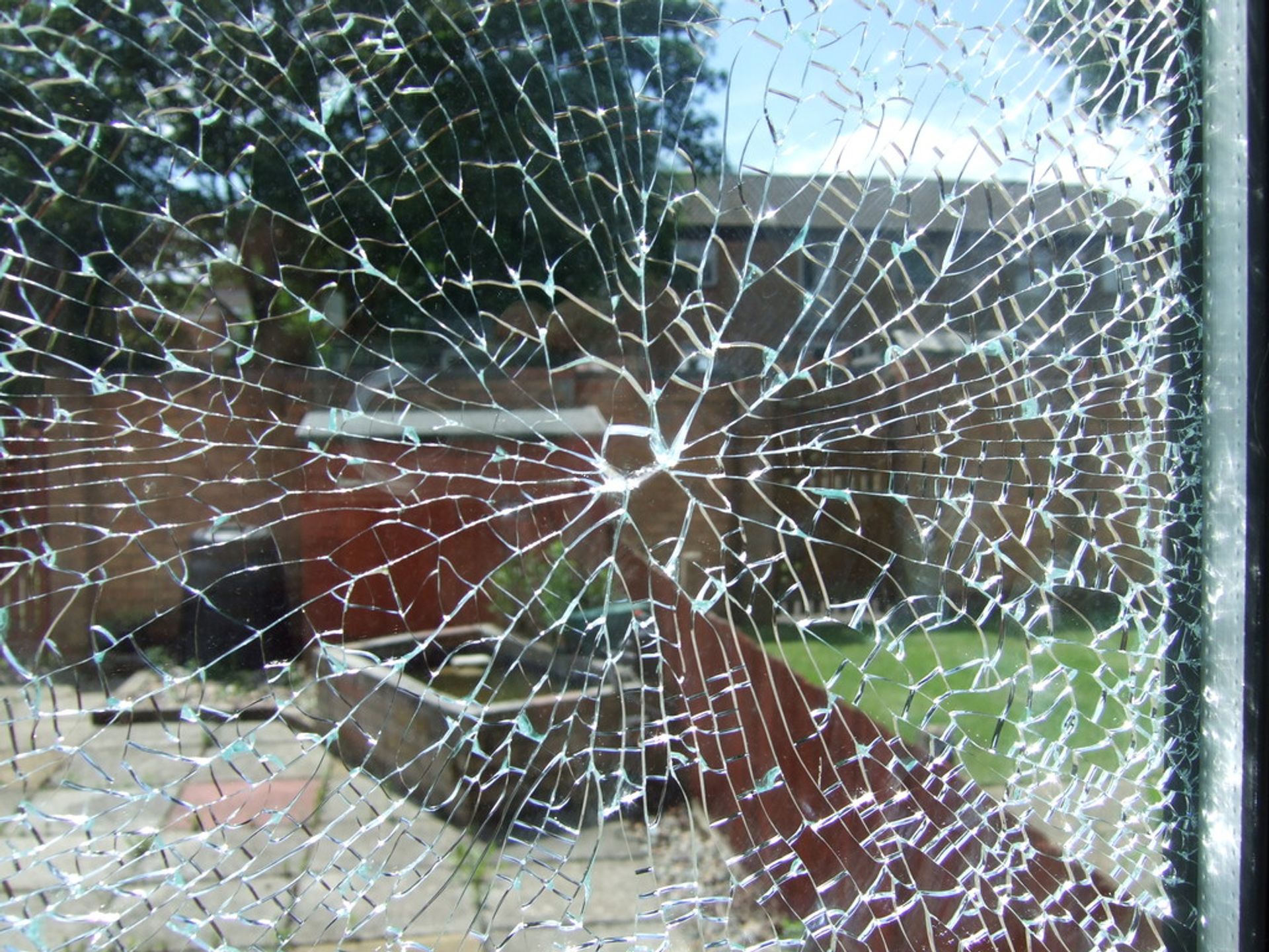 Blurry image of a garden trough broken glass