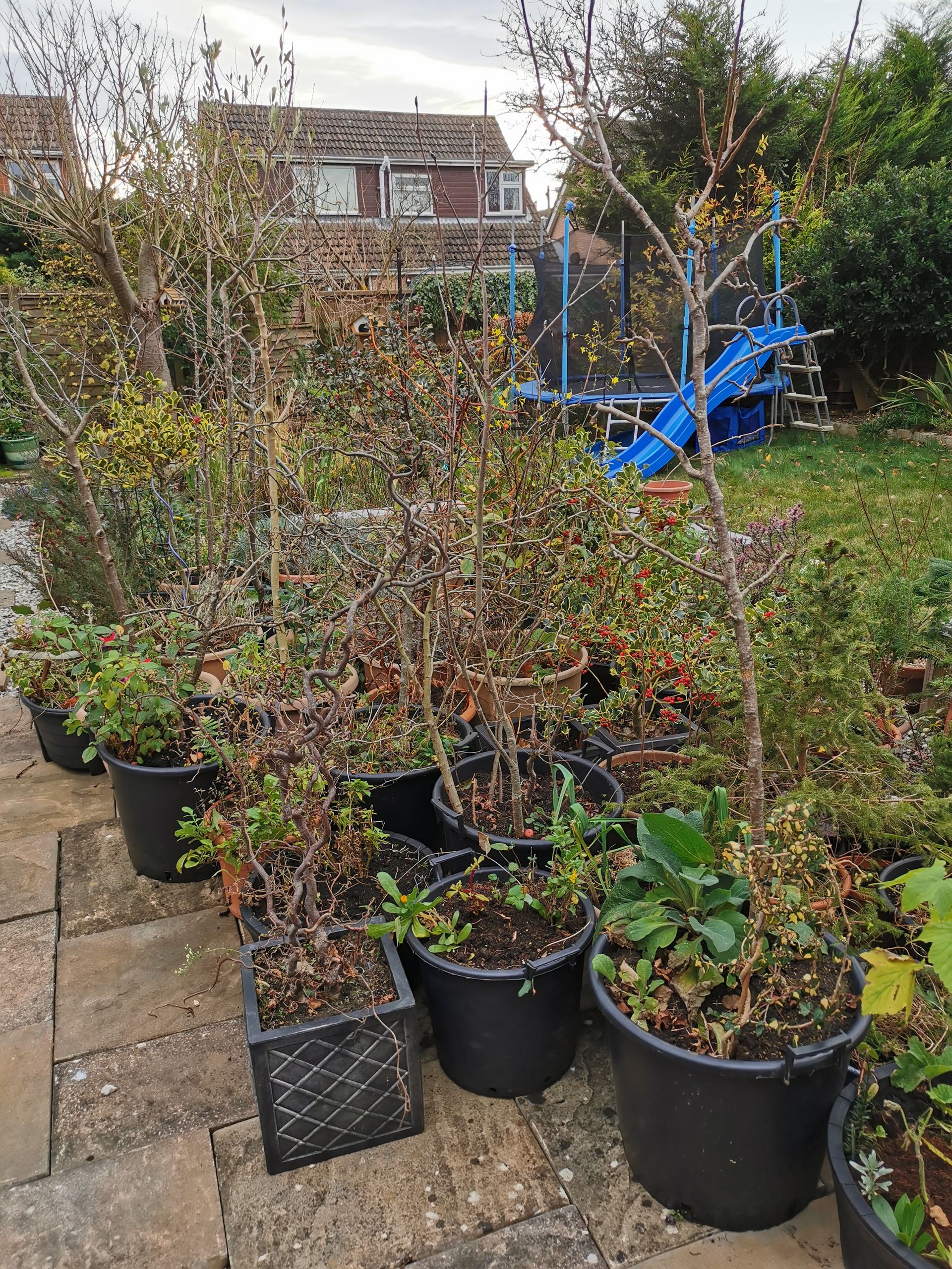 A small selection of the pots