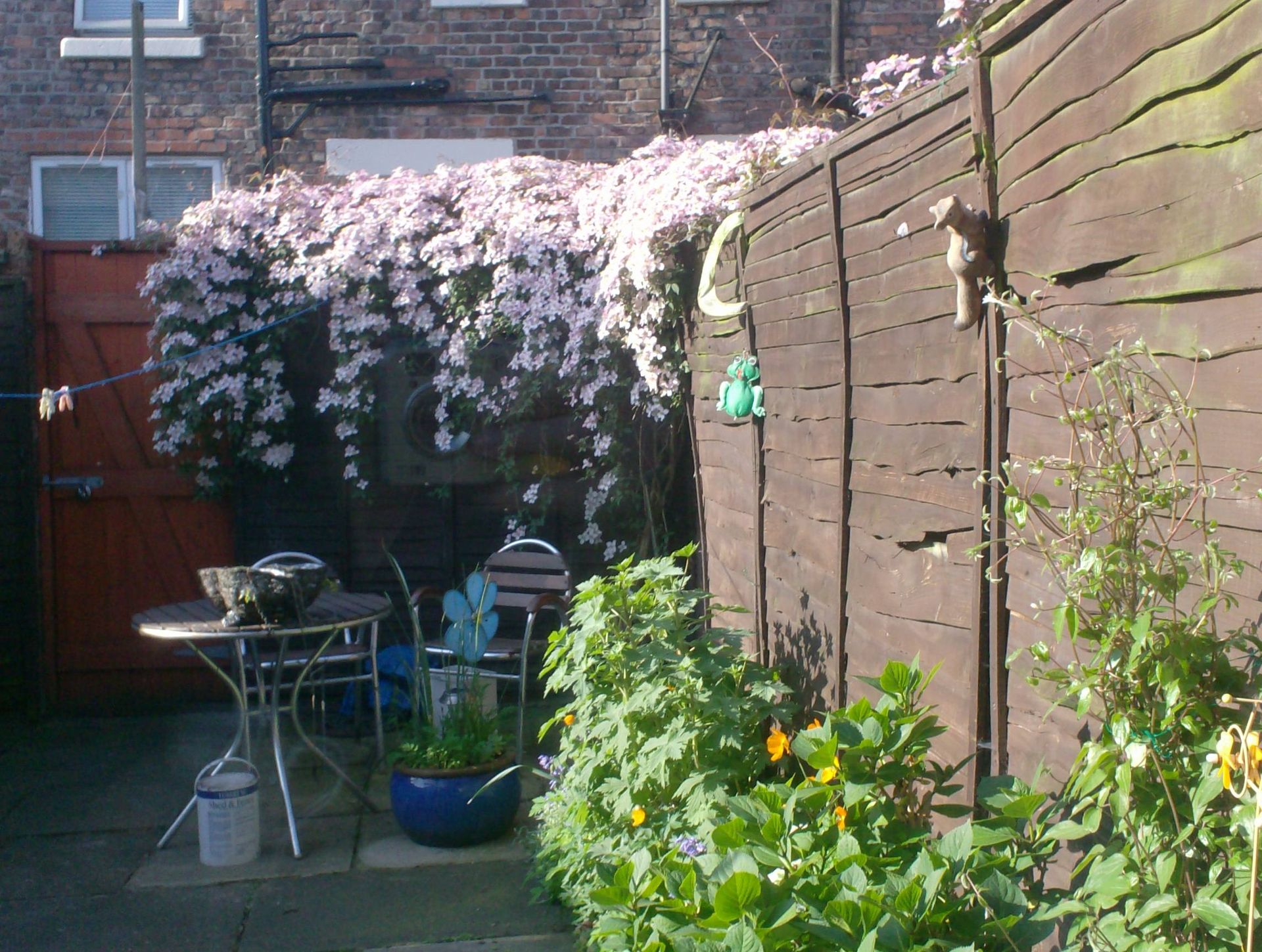 A picture of my nan's garden