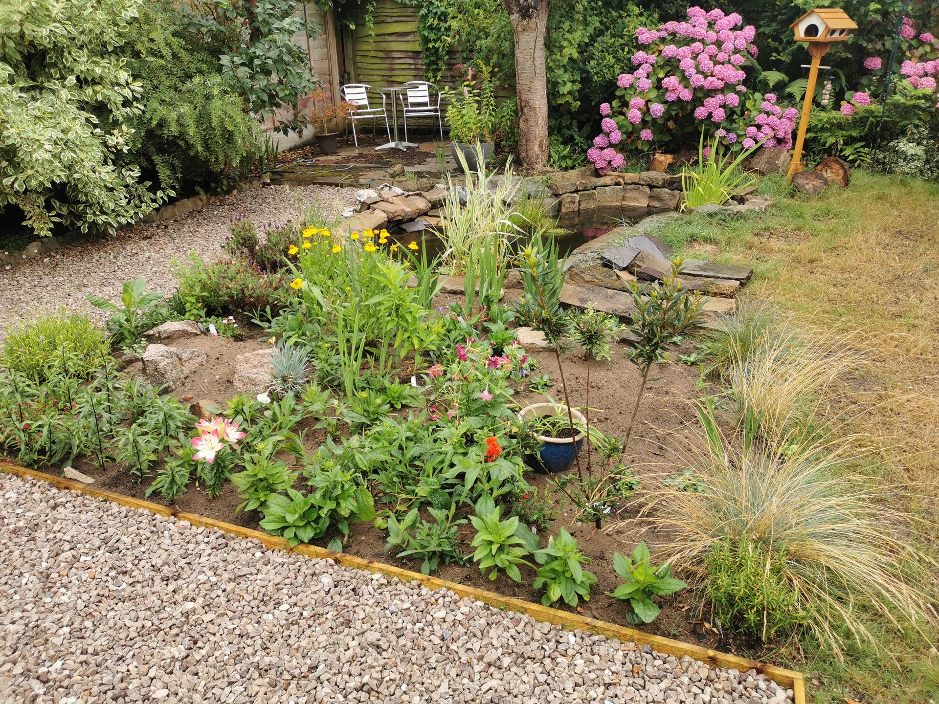 Planted up pond bed