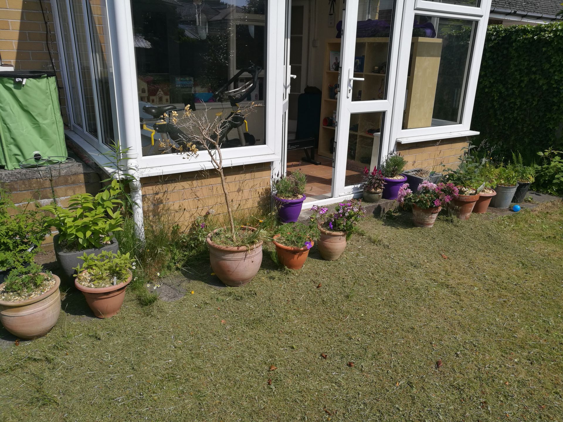 Pots in the rental garden